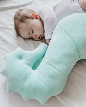 Almohada Cojín de Alimentación, Aquamarine