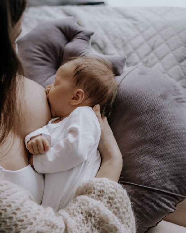 Almohada Cojín de Lactancia Caballito - Imagen 3