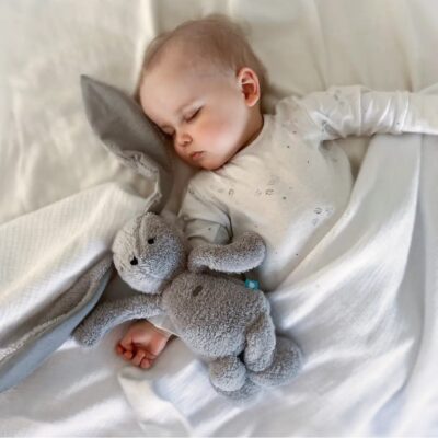 peluche gris